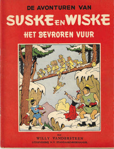 Het bevroren vuur